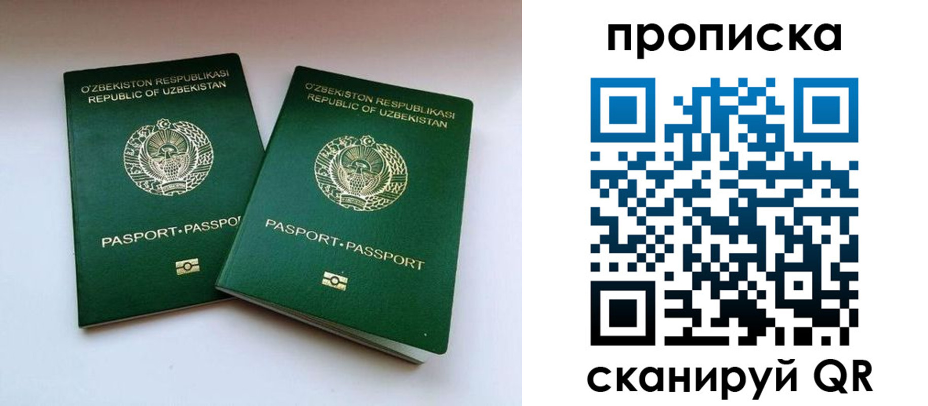 прописка поиск в Чаплыгине